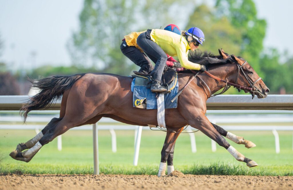 Join Our Team - Clement Racing Stable